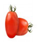 Tomato F1 Veda 40 grams